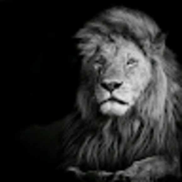 jovanwright65